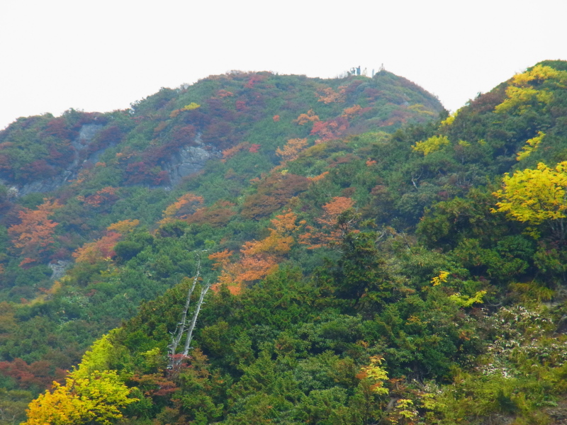 b0190242_13465055.jpg