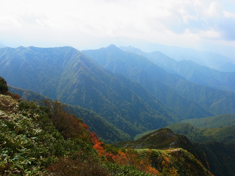 b0190242_13524815.jpg