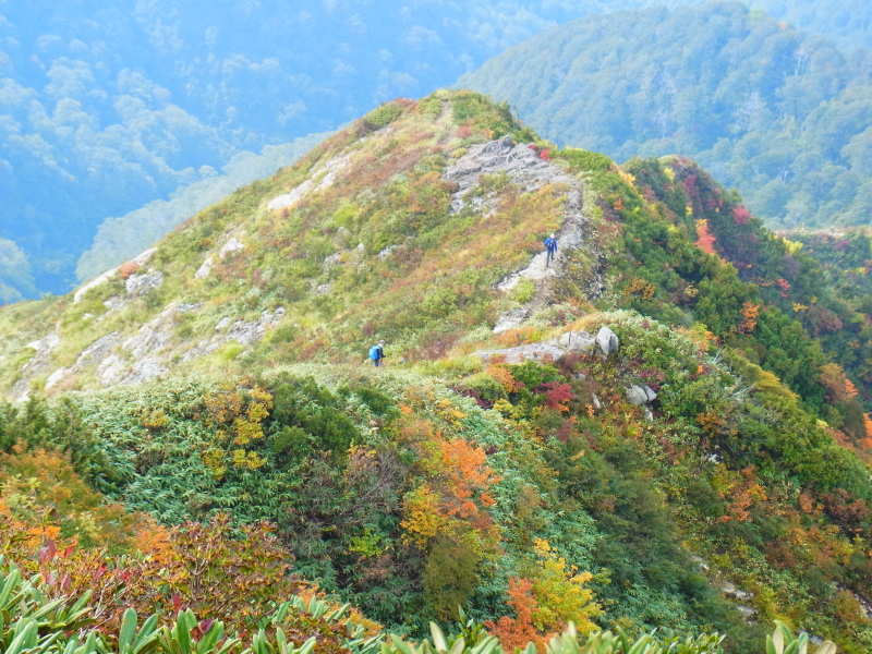 b0190242_13552734.jpg