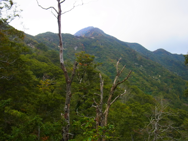 b0190242_1357198.jpg