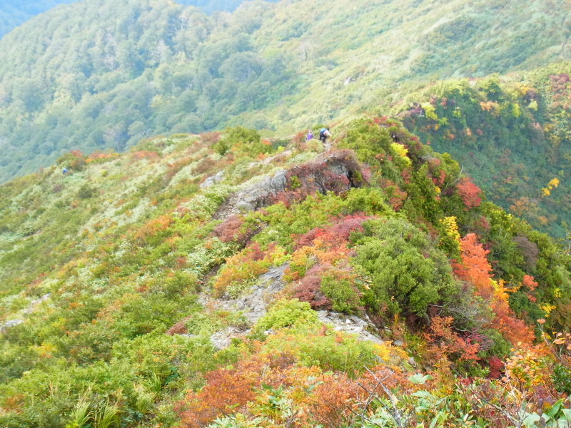 b0190242_149856.jpg