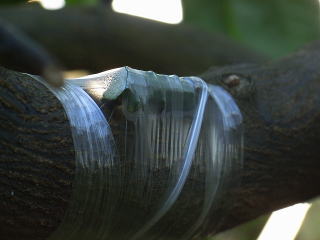 b0218444_9402132.jpg