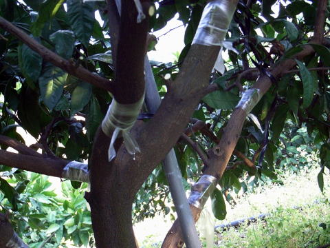 b0218444_9403370.jpg