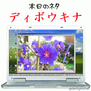f0031546_22353612.gif