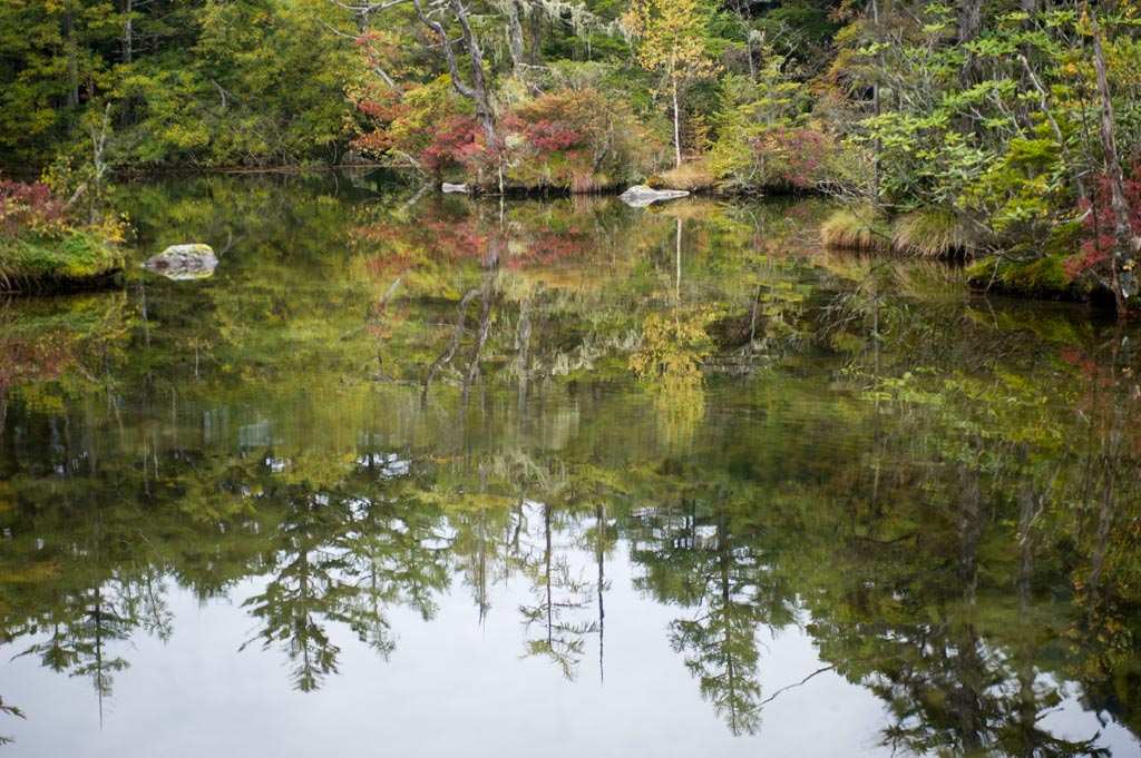 ◆水鏡Ⅲ　穂高神社奥宮明神池　長野県松本市安曇_b0023047_354414.jpg