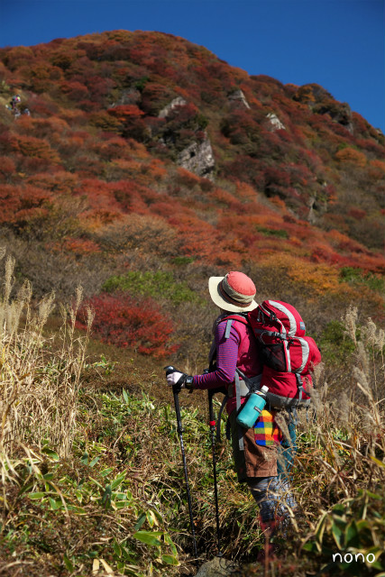 2012年の紅葉登山！～星生山＆扇ヶ鼻～_e0151447_22553371.jpg