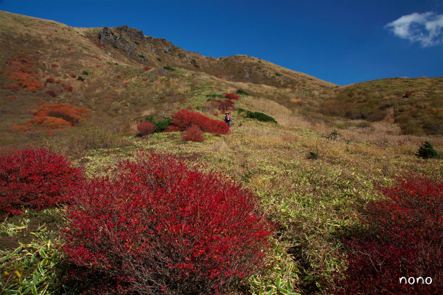 2012年の紅葉登山！～星生山＆扇ヶ鼻～_e0151447_225891.jpg