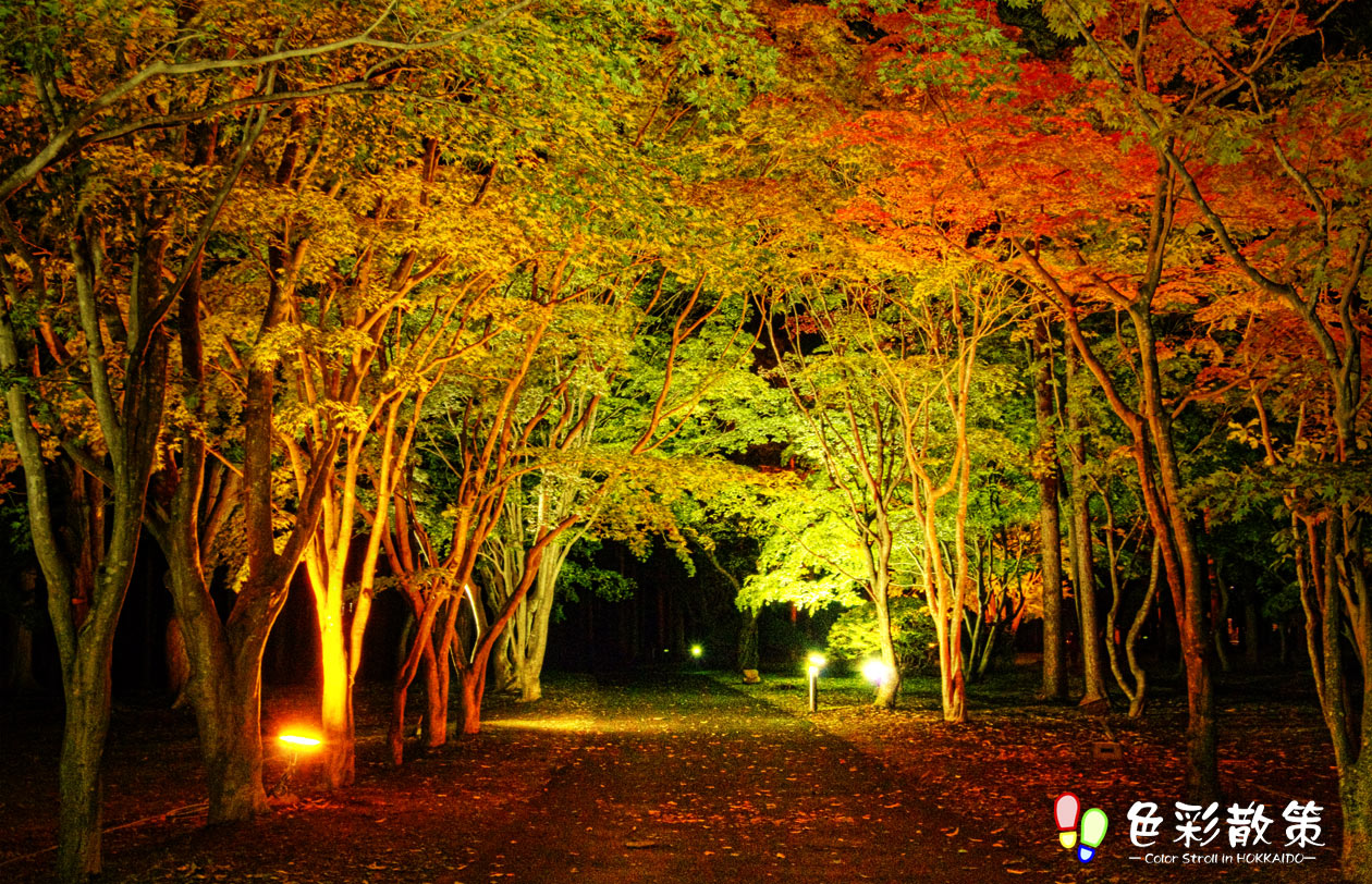 香雪園の紅葉ライトアップー函館見晴公園ー 色彩散策 Color Stroll