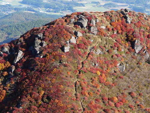 b0276758_16372225.jpg