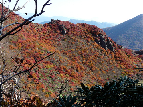 b0276758_1641465.jpg