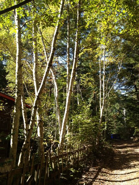 c0115660_2052849.jpg