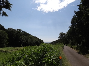 e0194060_23243565.jpg