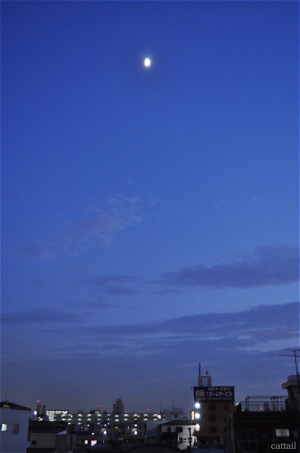 e0125762_0491984.jpg