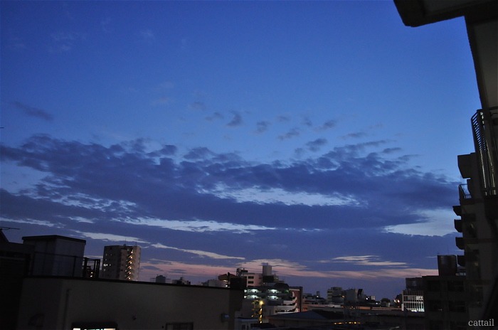 e0125762_053483.jpg