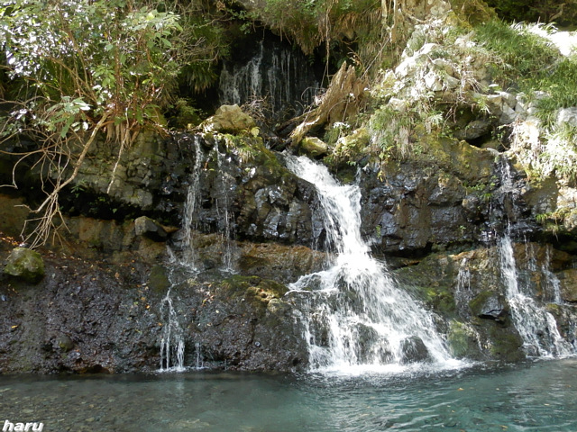 a0275965_12351611.jpg
