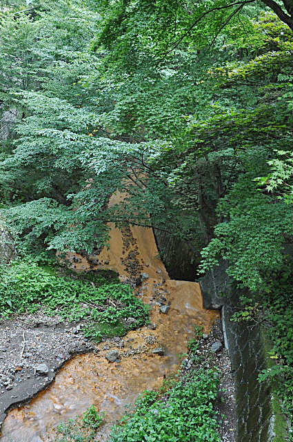 b0053765_217937.jpg