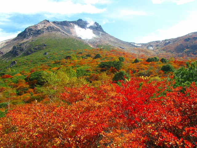 10月14日（日）　姥ヶ平～南月山 ♪_a0191674_1835267.jpg