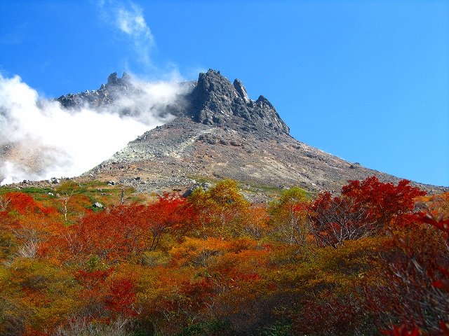 10月14日（日）　姥ヶ平～南月山 ♪_a0191674_18362457.jpg