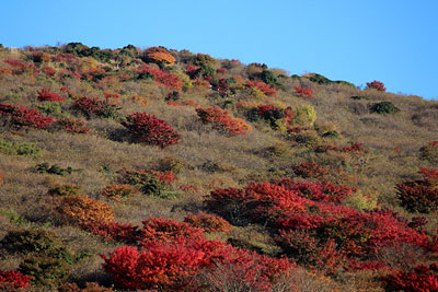 c0152779_11142774.jpg