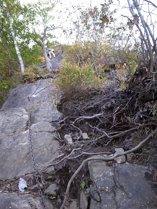 a0094280_1046099.jpg