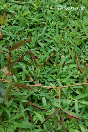 a0168980_11132893.jpg