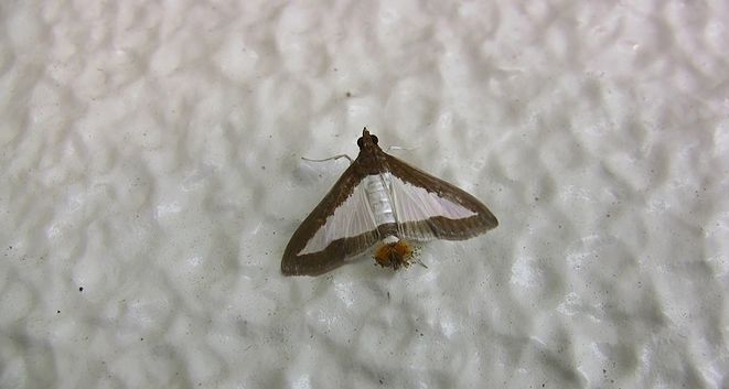 d0020180_1459990.jpg