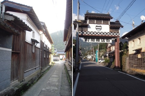 酔芙蓉が咲く法雲寺（香美町村岡区）_d0076283_22352013.jpg