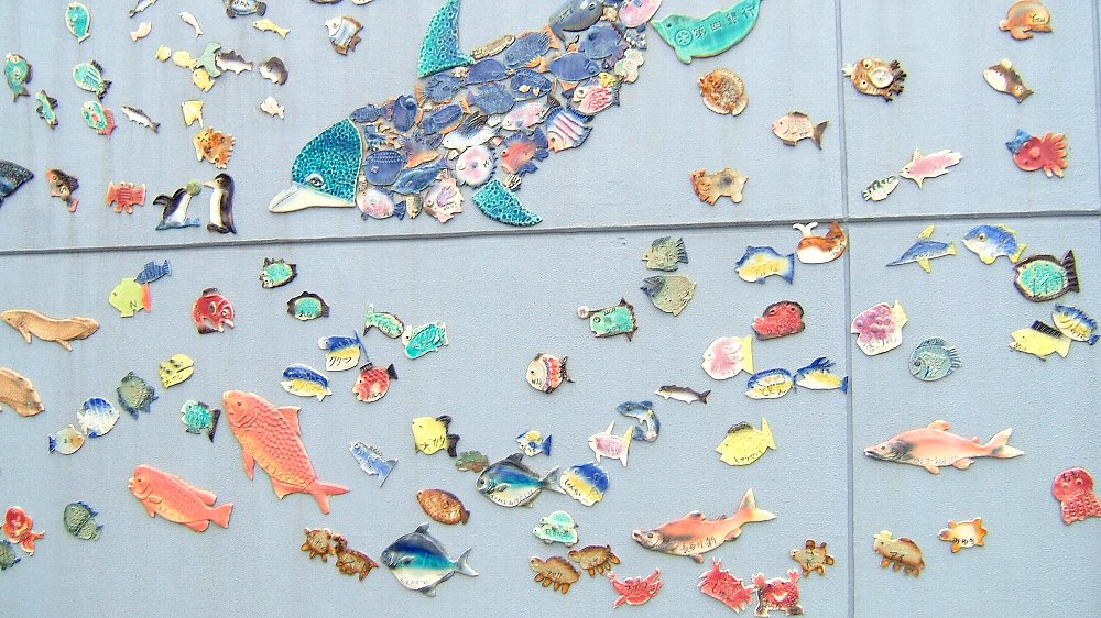 水族館の壁面の魚！_e0065084_19242691.jpg