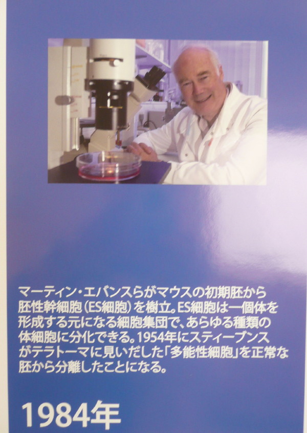 ES細胞、iPS細胞関連技術の開発の歴史（理研神戸研究所パネル展示より）_b0118987_5202959.jpg