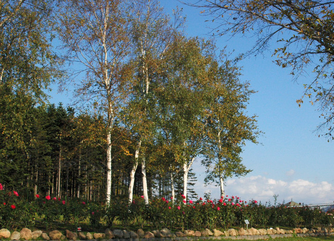 b0169987_9302240.jpg