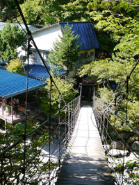 b0142989_16777.jpg