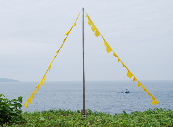 f0159390_9252919.jpg