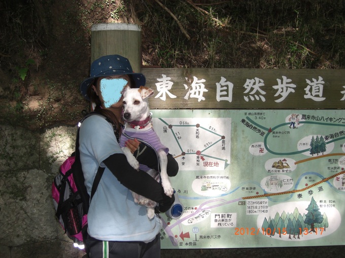 鳳来寺山　山登り　後編_e0296291_10275932.jpg