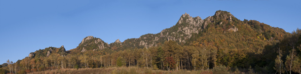 c0173794_20341699.jpg