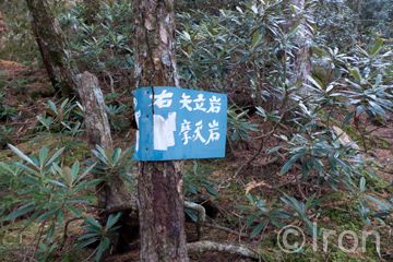 c0173794_21551180.jpg