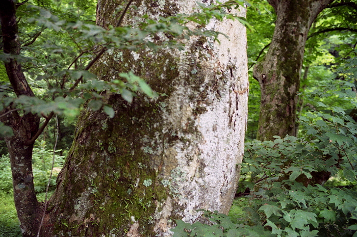 c0214494_21381240.jpg