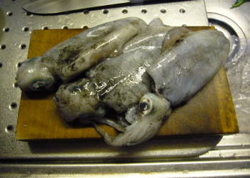 c0125996_5354789.jpg