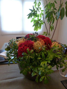 f0191500_16593153.jpg