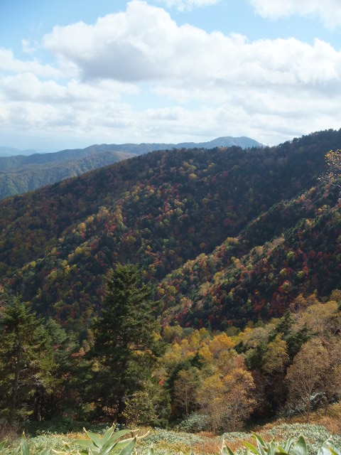 a0271502_15242584.jpg