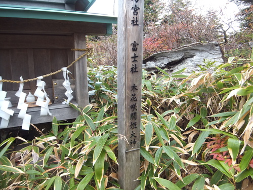 a0271502_15351769.jpg