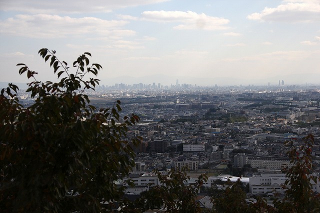 a0123003_23172478.jpg