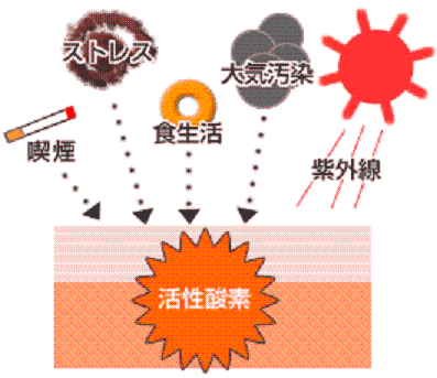 c0098304_19571183.gif