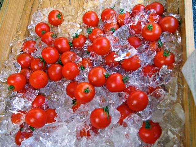 a0230008_22241340.jpg