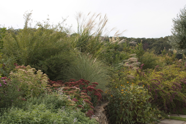d0001008_13144672.jpg