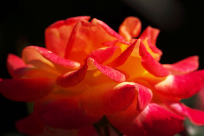 a0263109_1041448.jpg