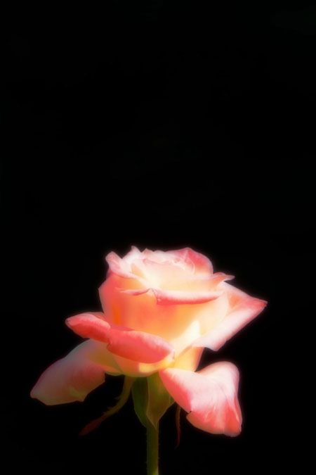 a0263109_10505996.jpg