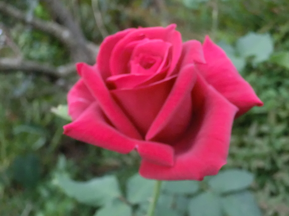 d0237309_21573663.jpg