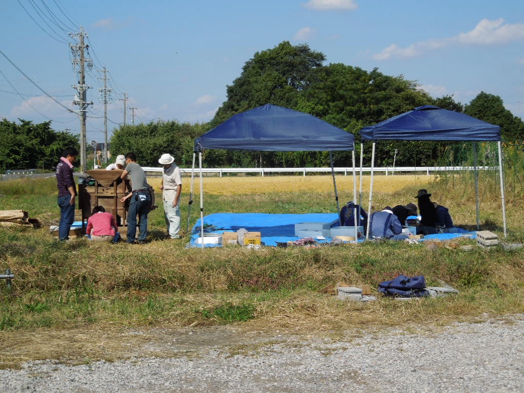 「なたね油 ⑥-2012」_a0120513_20514336.jpg