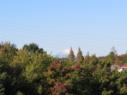 b0087914_1633866.jpg