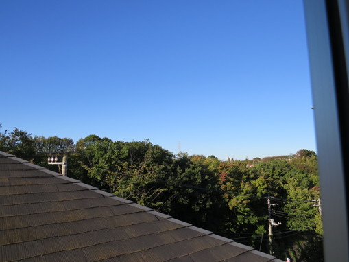 b0087914_163725.jpg